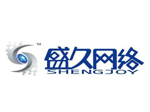 上海盛久網絡科技發展 深耕技術，領航未來